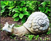 11th May 2011 - At a Snail's Pace