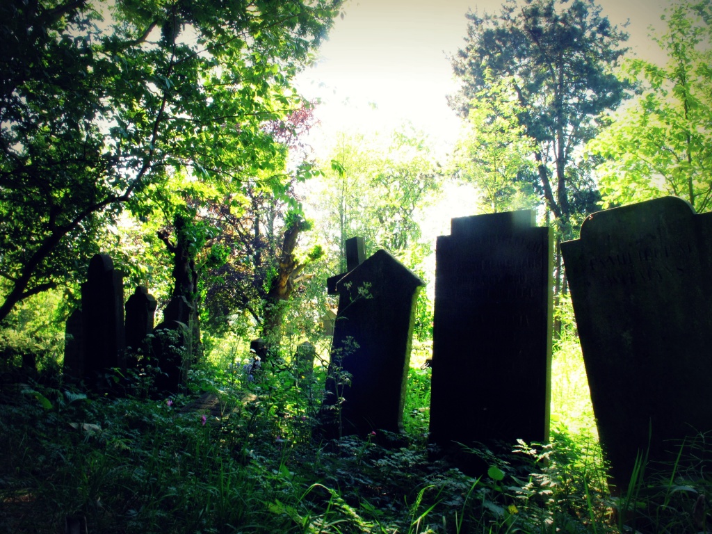 Cemetery park by halkia