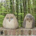 Owls by dulciknit