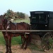 Amish Buggy by graceratliff
