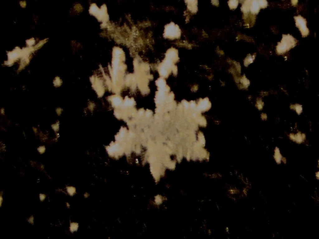 365-DSC00722 Snow flake by annelis
