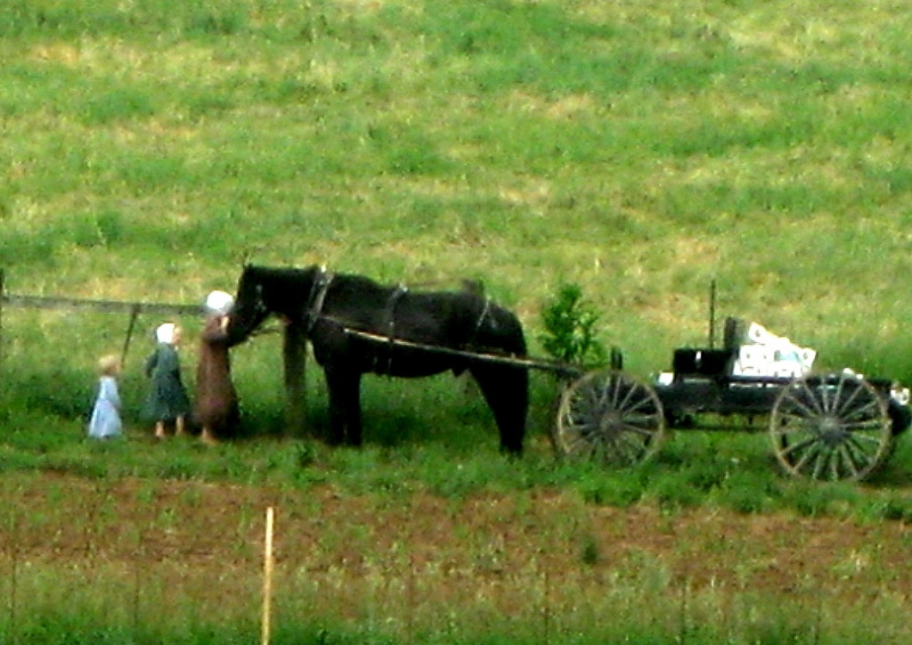 Amish Children by vernabeth
