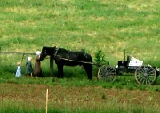 12th May 2011 - Amish Children