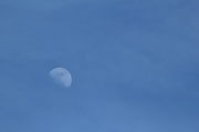 12th May 2011 - Fly me to the moon....