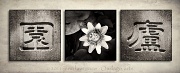 12th May 2011 - Chinese Triptych