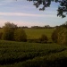 Early morning fields by jeff