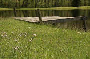 13th May 2011 - The Pond
