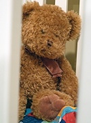 16th May 2011 - Teddy Bear
