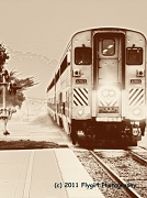 6th Jun 2012 - Black and White Train