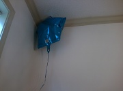 14th May 2011 - Balloon on Ceiling 5.14.11