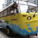 toronto hippo tours by summerfield