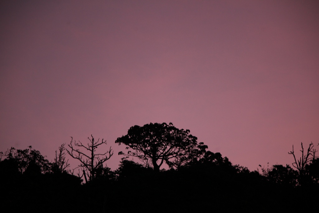 dusk skyline - SOOC by lbmcshutter