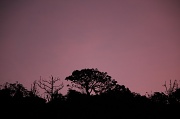 15th May 2011 - dusk skyline - SOOC