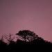 dusk skyline - SOOC by lbmcshutter