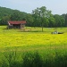 Yellow Fields by vernabeth