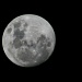Almost-full moon by corymbia