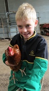 16th May 2011 - Hen Boy