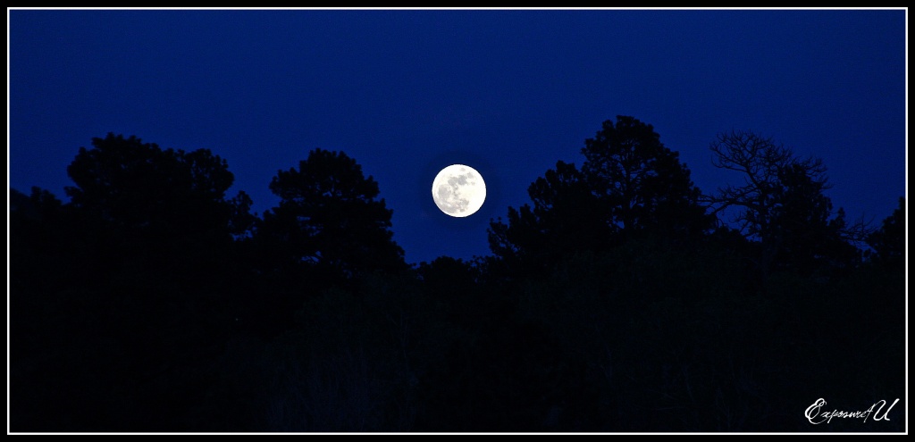 Full Moon by exposure4u