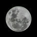 Full Moon by corymbia