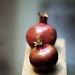 pomegranate by pocketmouse