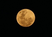 18th May 2011 - the rising moon glowed yellow