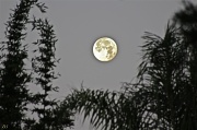 13th May 2011 - Day Moon 2