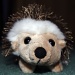 Harry the Hedgehog by karendalling