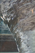14th May 2011 - Water Vortex