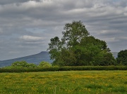19th May 2011 - View of the Clee hill