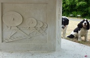 18th May 2011 - Who's That Dog?