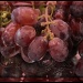 Peel Me a Grape by allie912