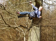 4th Apr 2010 - a rare species spotted in our local woods