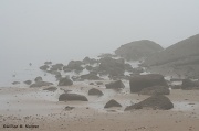20th May 2011 - Fogged in again