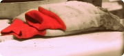20th May 2011 - Gloves