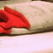 Gloves by mej2011