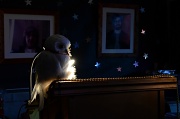 20th May 2011 - Owl and Podium