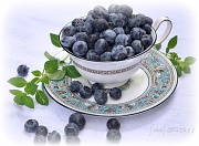 20th May 2011 - Blueberries