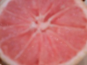 21st May 2011 - Grapefruit 5.21.11