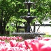 the fountain at st. james park by summerfield
