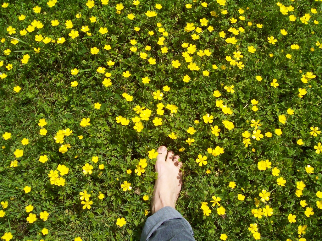 Walking Through Flowers by julie