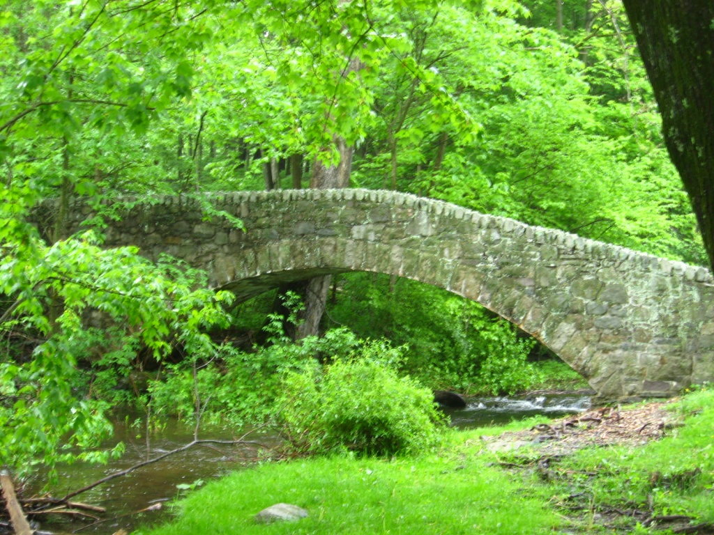 Stone Bridge at Buttermilk Falls by olivetreeann