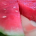Watermelon Slices with Gap edited by sfeldphotos