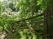 22nd May 2011 - Old gate