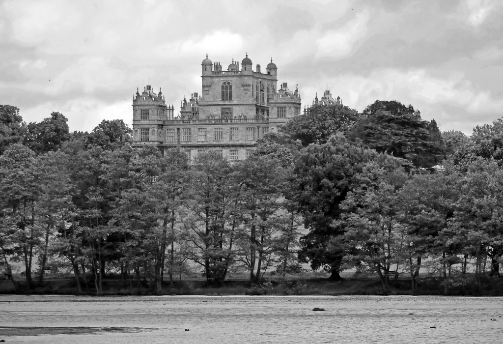 Wollaton Hall seen through the trees  by phil_howcroft