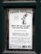 17th May 2011 - Just for fun: Patriotic Pet Parade