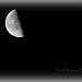 Last Quarter May Moon by peggysirk