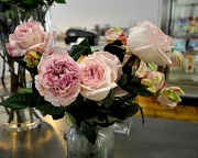 24th May 2011 - Pink Roses