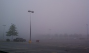 19th May 2011 - foggy!