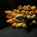 Obligatory crayon shot by alia_801
