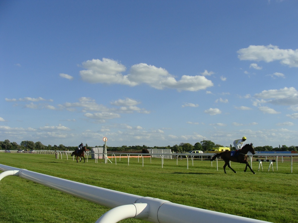 Huntingdon Races by busylady